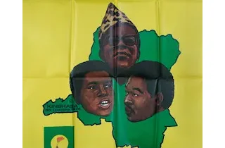 Vénération et éblouissement politique&nbsp;: une marche vers l’autoritarisme&nbsp;?