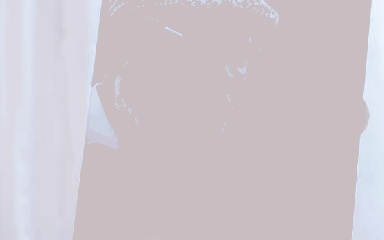 Prince de Capistran&nbsp;: le monstre sacré du cinéma gabonais